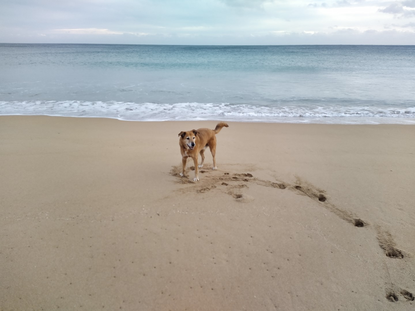 Hotel Taghazout Morocco nomad remote 83ff8d9c-4f10-42ef-bc97-a594667ff7a5_2022-01-04 17.09.58 (Large).jpg